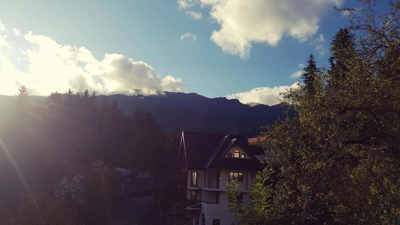 Casa Varful Cu Dor Sinaia Zewnętrze zdjęcie